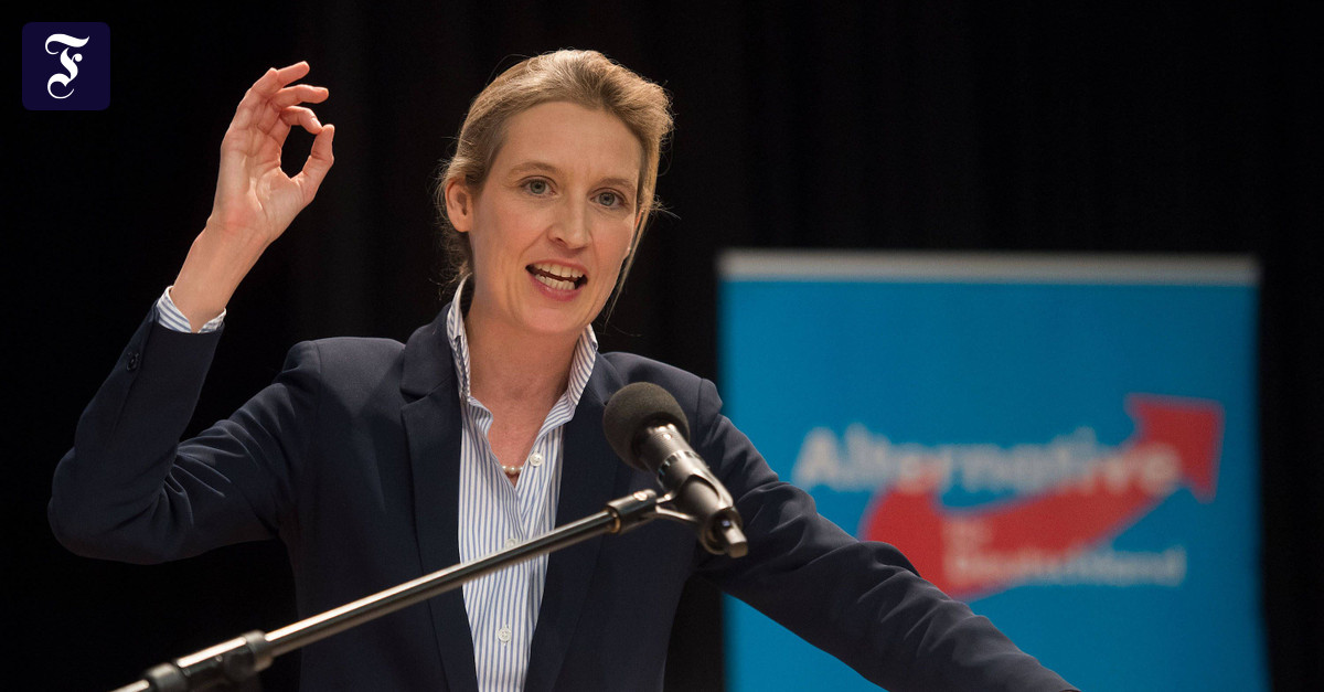 Alice Weidel: AfD-Politikerin rät „Ja“-Sagern zur Rückkehr in die Türkei