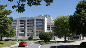 Das Geschäft der Selbstanbieter