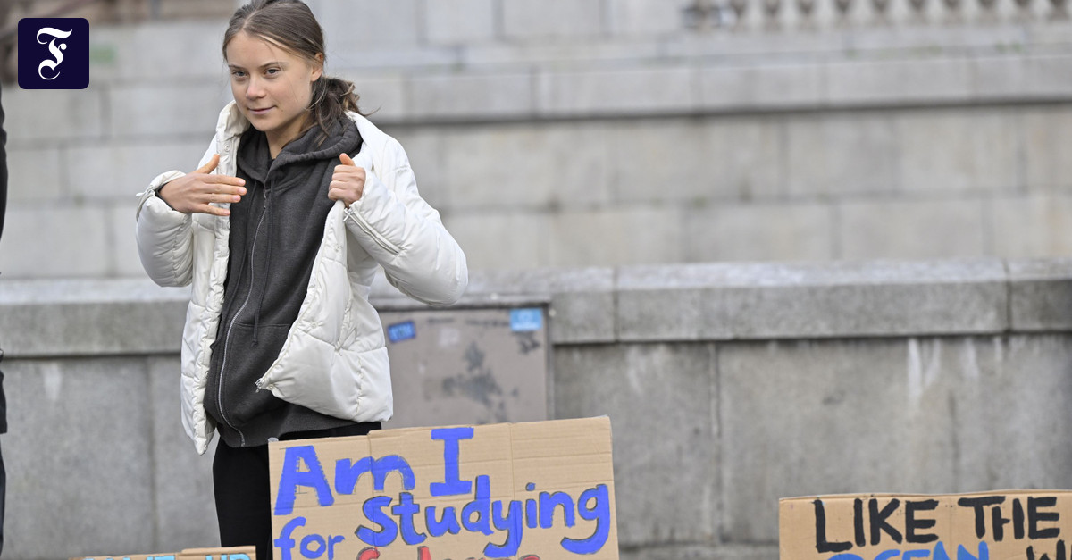 Werbung-des-Campus-Verlags-Greta-Thunberg-taugt-nicht-mehr-zur-Werbung