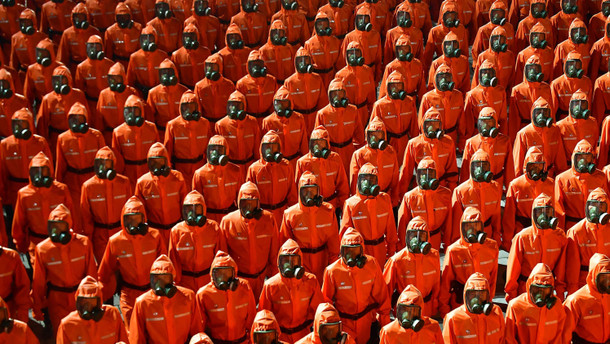 Regierung meldet ersten Virus-Ausbruch Regierung meldet ersten Virus-Ausbruch