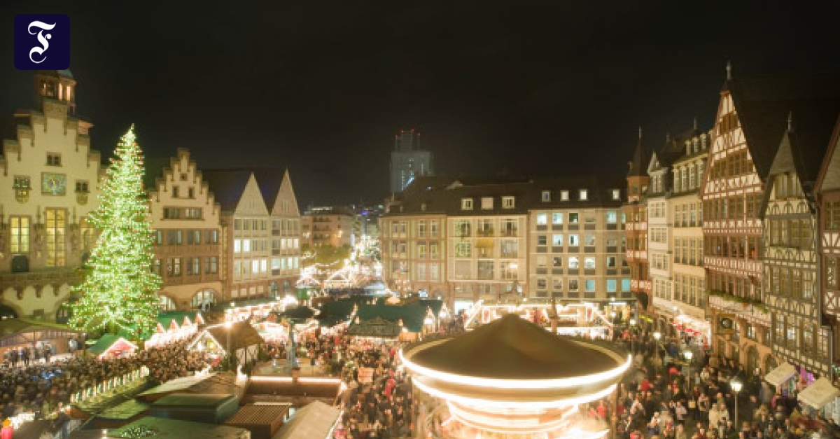 FichtenCasting in Tirol Ein gfiariger Weihnachtsbaum RheinMain FAZ