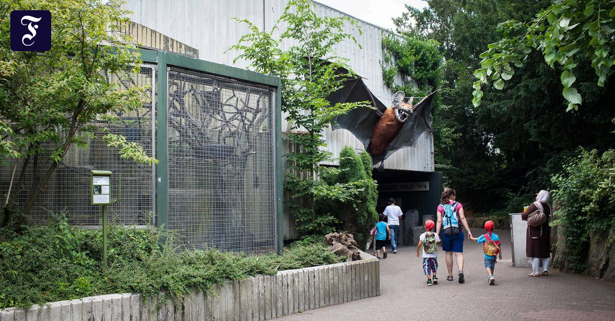 Kommentar zu Frankfurter Zoo Auf zu neuem Glanz RheinMain FAZ