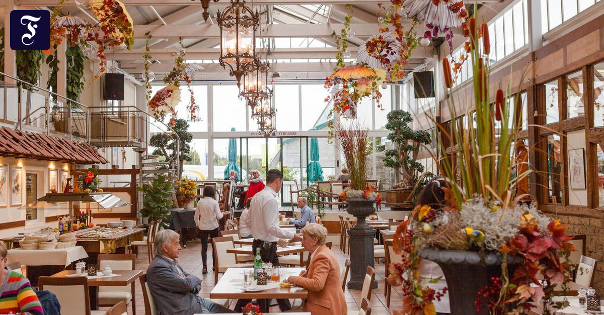 Lokaltermin im Sunflower Gartencenter in Frankfurt