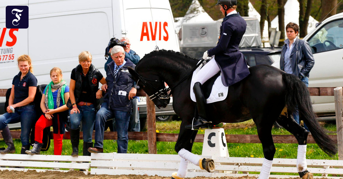 Dressur Rath hat Totilas perfekt im Griff