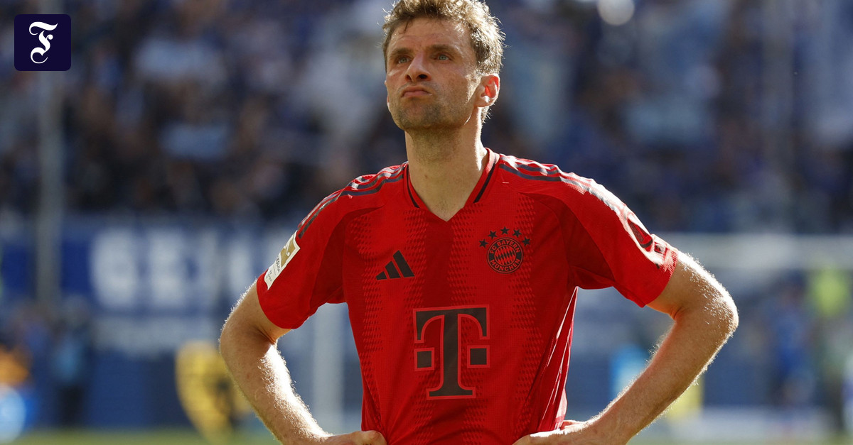 FC Bayern in the DFB Cup against SSV Ulm: BVB in the first round against ...