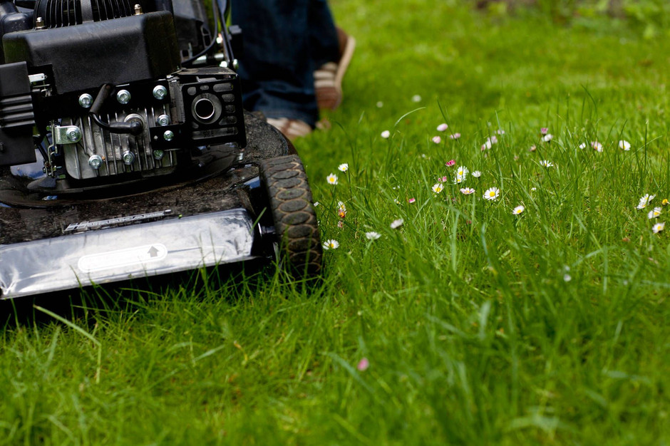 Bilderstrecke zu: Rasenmäher: Abschneiden oder abschlagen? - Bild 1 von