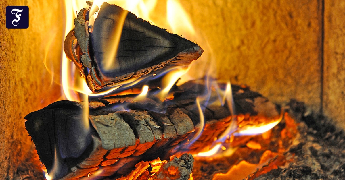 Richtiger Umgang mit Brennholz: Sie sind gefeuert! - Technik - FAZ