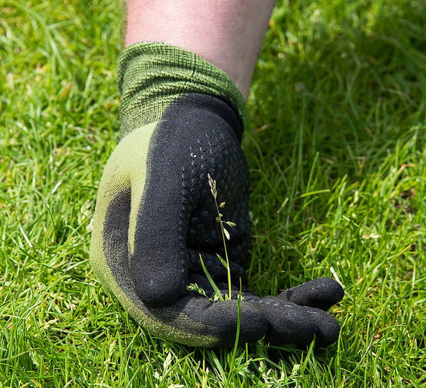 Nachrichten aus Umwelt und Technik - FAZ