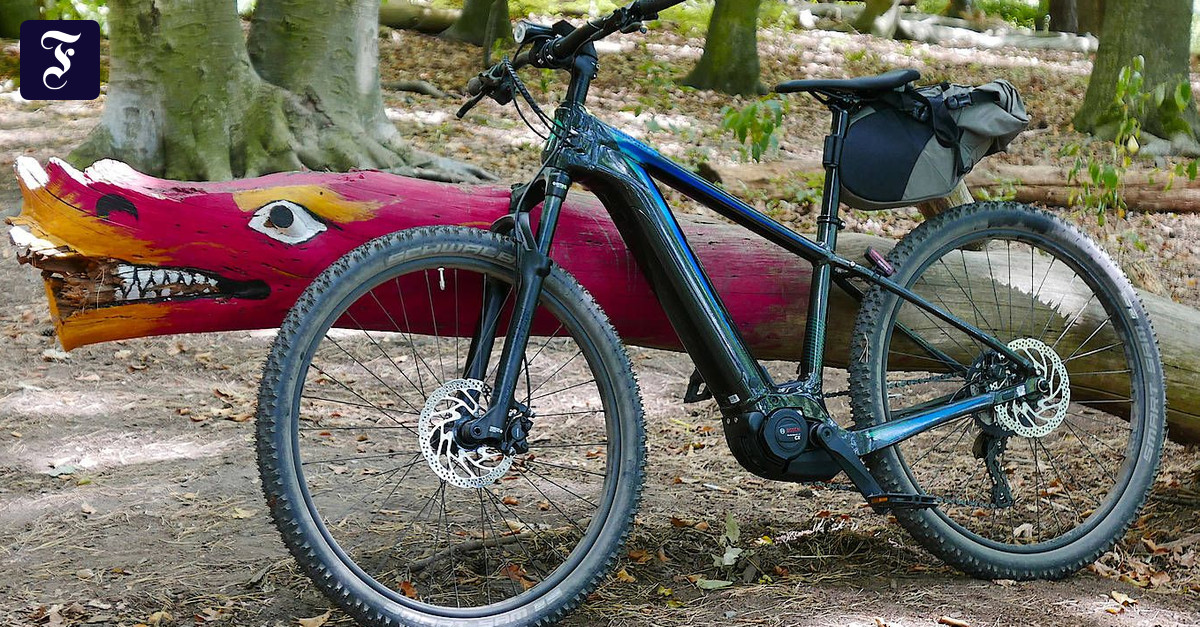 bosch performance cx 250