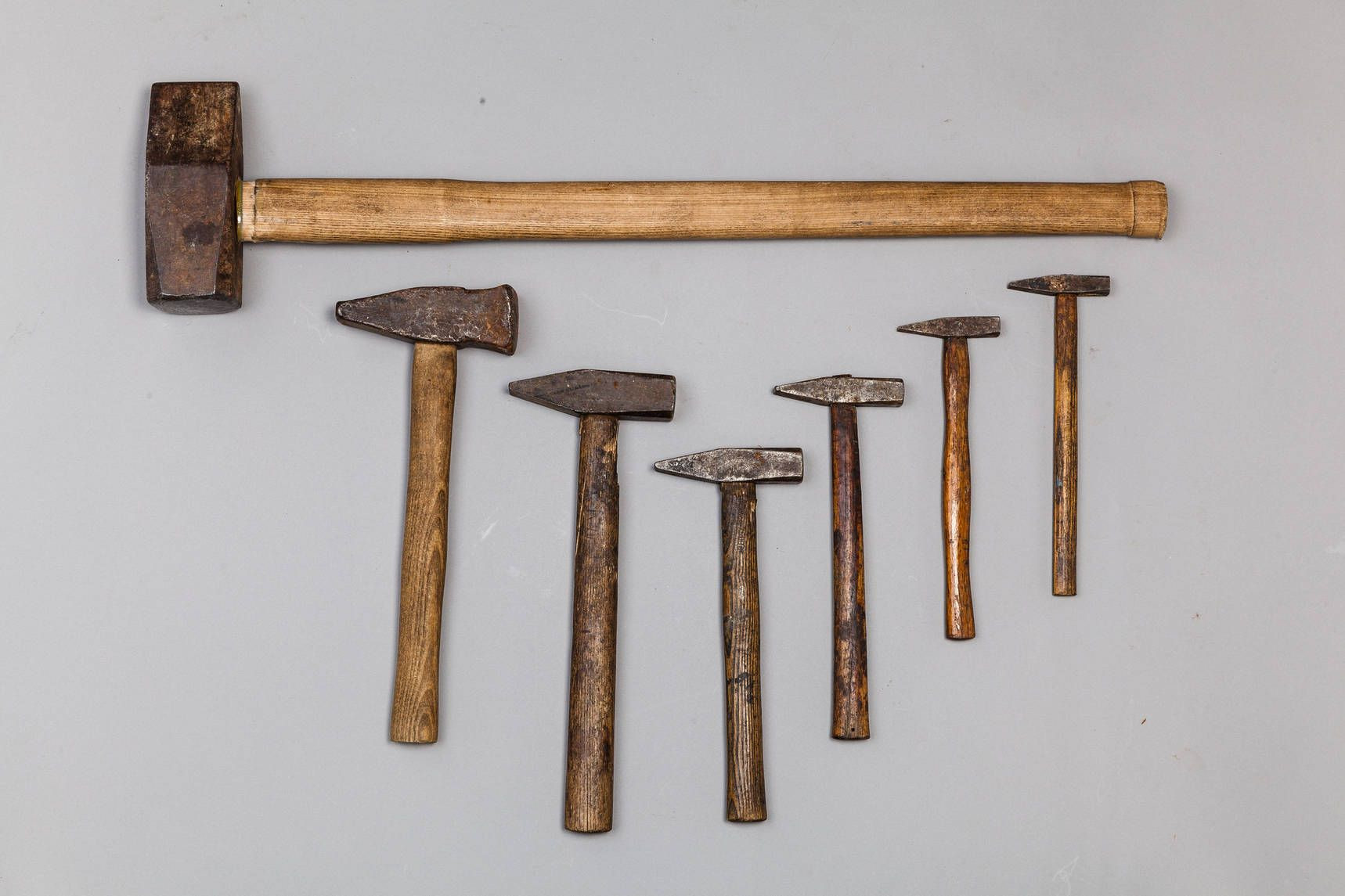 Verweigerer Rafflesia Arnoldi Sahne Verschiedene H mmer Sichern In 