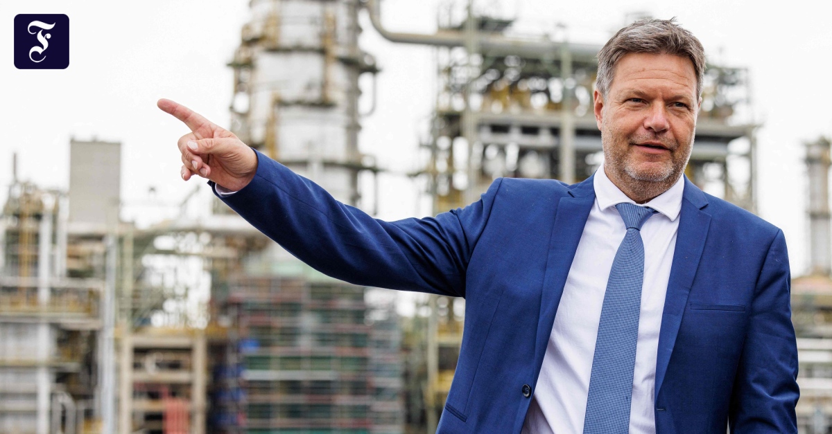 Energy supply Habeck rejects government caps on gas prices Pledge Times