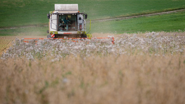Landwirtschaftliche Erzeugerpreise mit stärkstem Anstieg seit 1961 Landwirtschaftliche Erzeugerpreise mit stärkstem Anstieg seit 1961