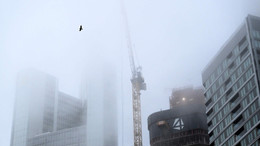 Wie die Digitalisierung Unternehmen ergreift