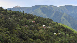 Gerade Themen wie Umweltschutz nutzen Firmen gezielt für ihre Öffentlichkeitsarbeit. 