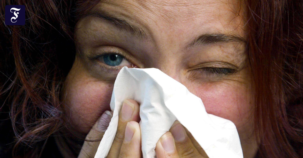 „Asthma-Pflanze“: Schwere Zeiten für Allergiker
