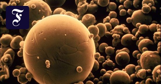 Nano ist das Maß der Dinge und harmlos?