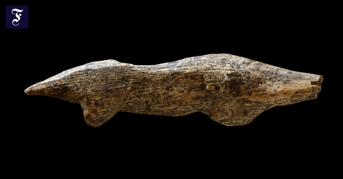 氷河期のカワウソの彫刻が見つかる