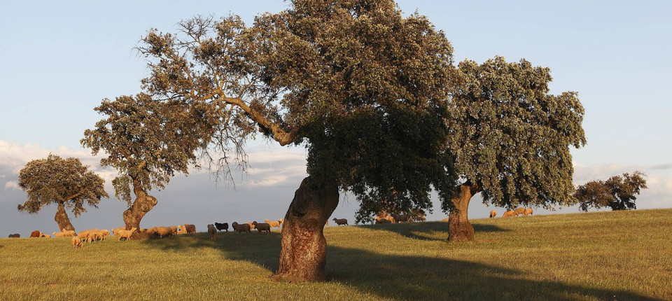 Atomium Culture Wissen