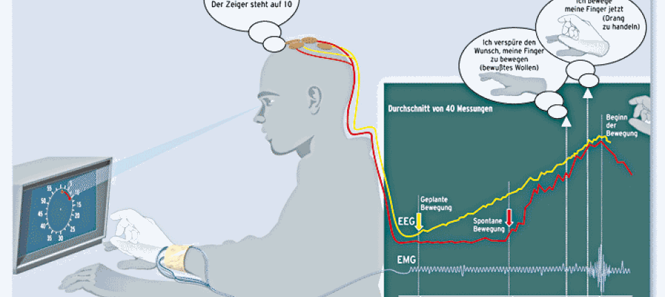 Experiment 1: Der klassische Libet-Versuch zum freien Willen - Wissen - FAZ