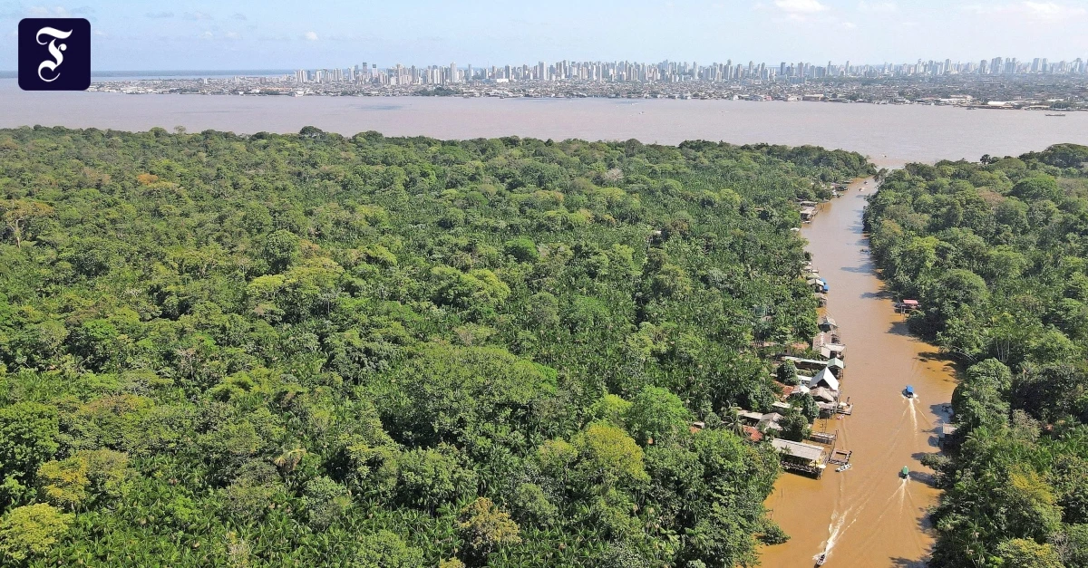 Vor der COP: Immer noch keine Einigung auf EU-Klimaziele