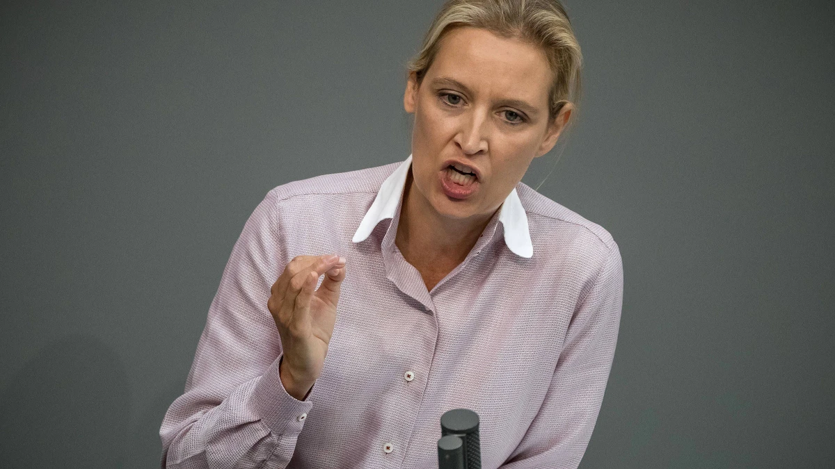 Weidel löst Tumulte aus: „Burkas, Kopftuchmädchen und sonstige Taugenichtse“
