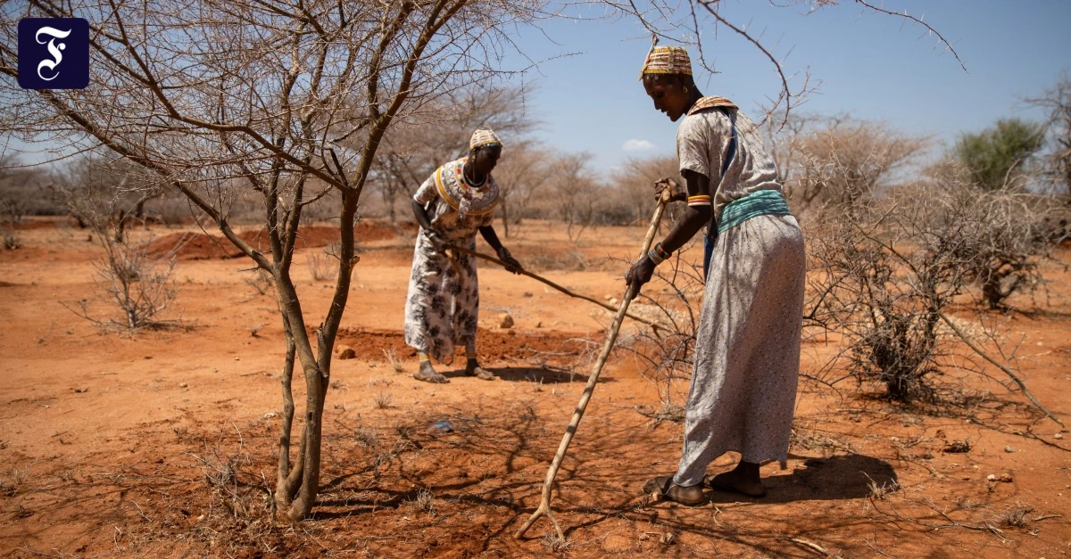 Weltklimakonferenz-Der-gef-hrliche-R-ckzug-des-Westens-aus-Afrika