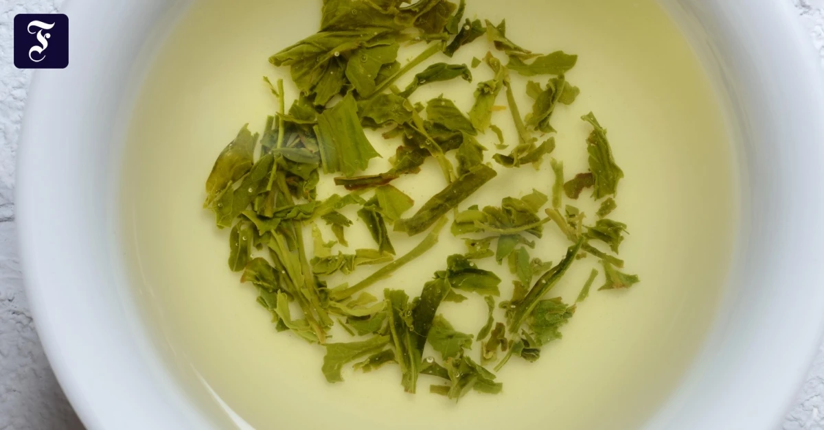 Genuss-Was-in-Gr-nem-Tee-steckt