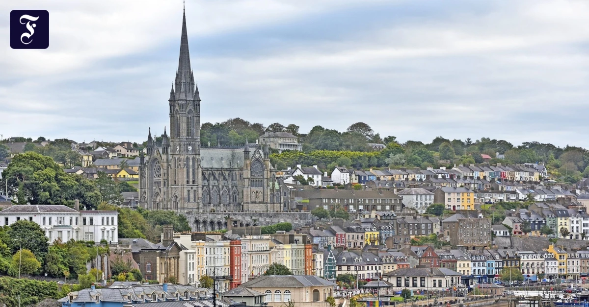 Die-Stadt-der-Freiheit-Nur-Verr-ter-trinken-Guinness