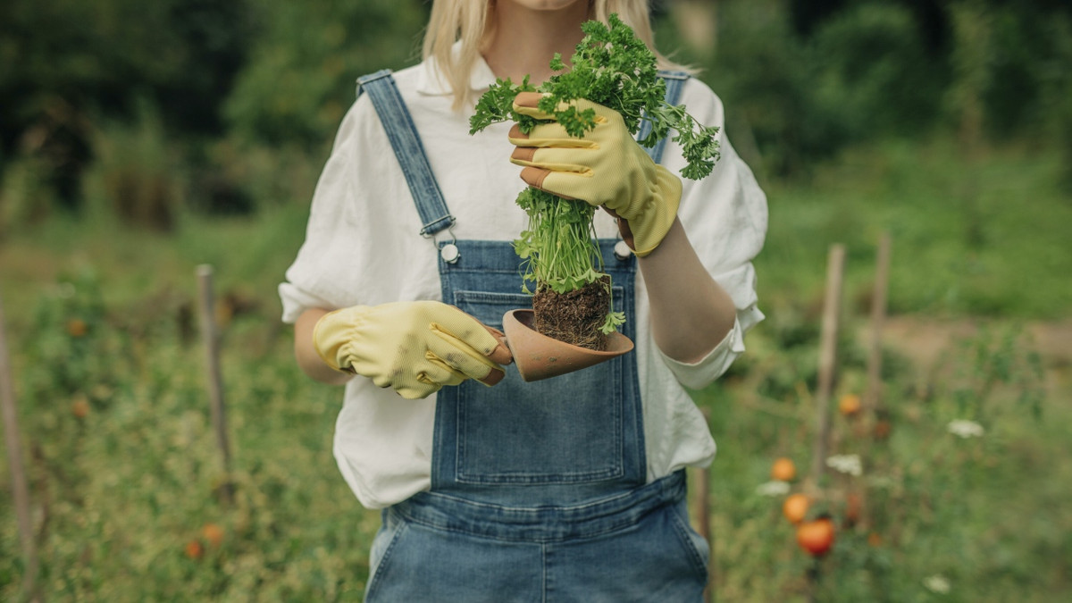 Selbstwirksam: Die Welt mag gefühlt untergehen, aber im eigenen Garten gedeihen die Kräuter. - Picture Alliance