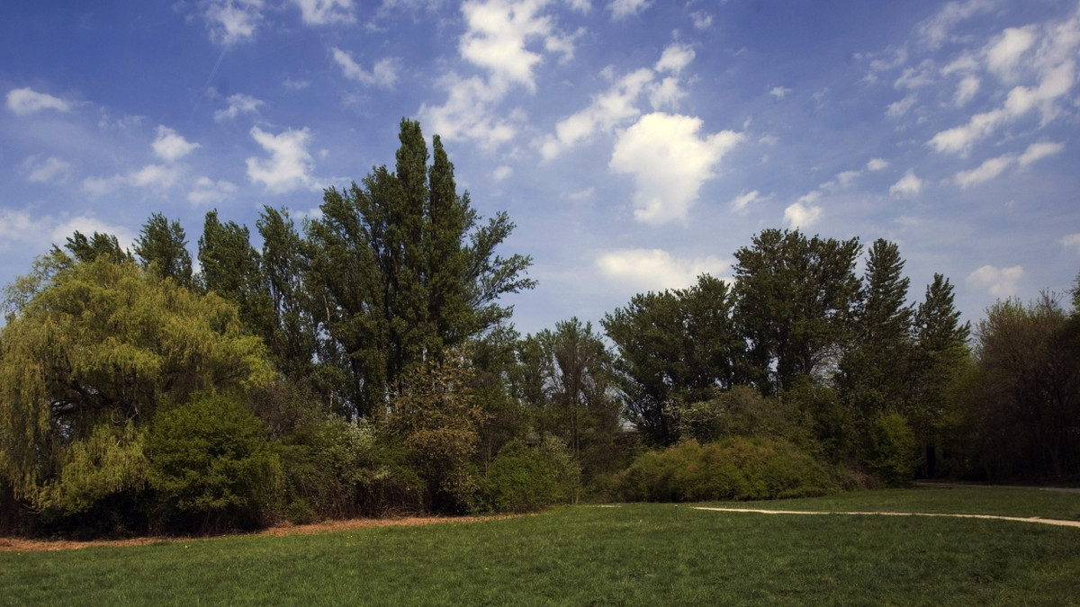 Durch die Bundesgartenschau 1989 entstand der Niddapark in Frankfurt. - Helmut Fricke
