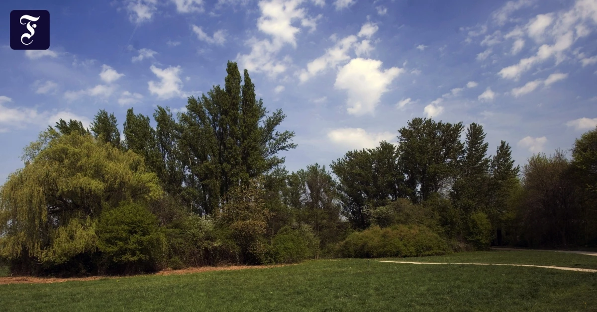 Mit nachhaltigem Konzept: Frankfurt will Bundesgartenschau 2040 ausrichten