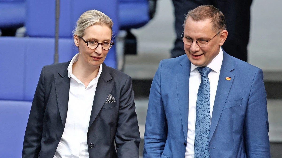 Unruhe in der AfD: Diese Konfliktlinien setzen die Parteispitze ...