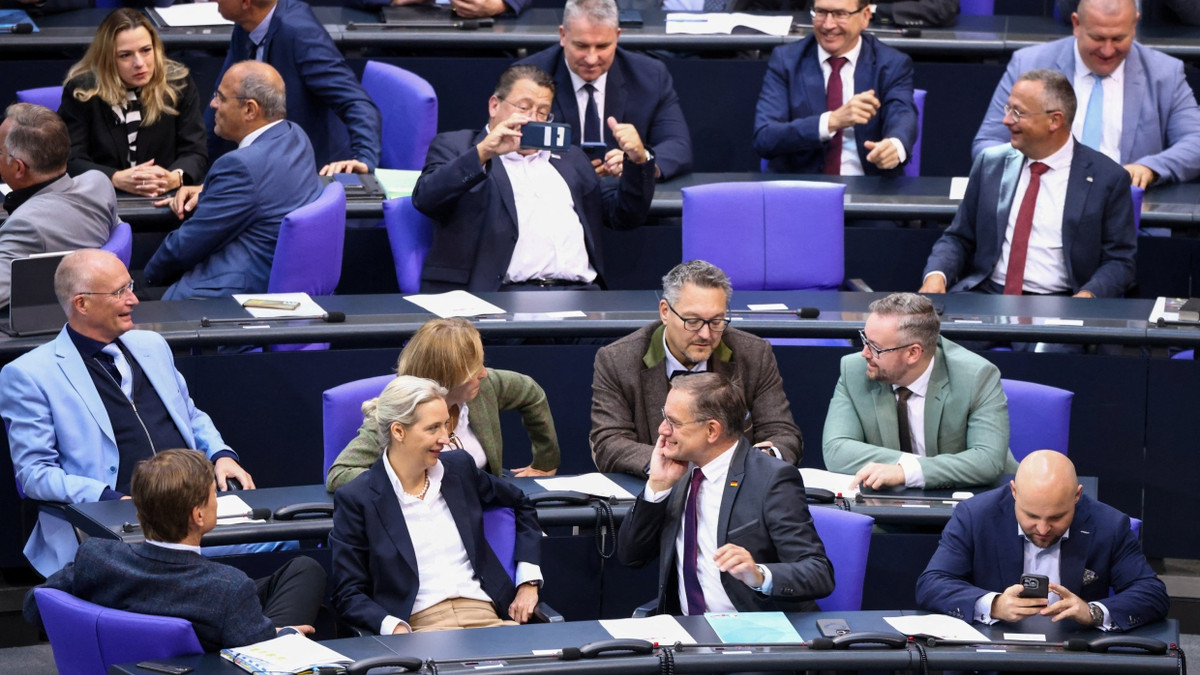 Bundestagsanträge: Die AfD will mehr Trump wagen