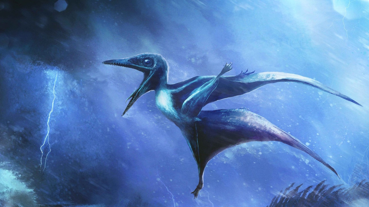 Paläontologie: Warum junge Flugsaurier sterben mussten