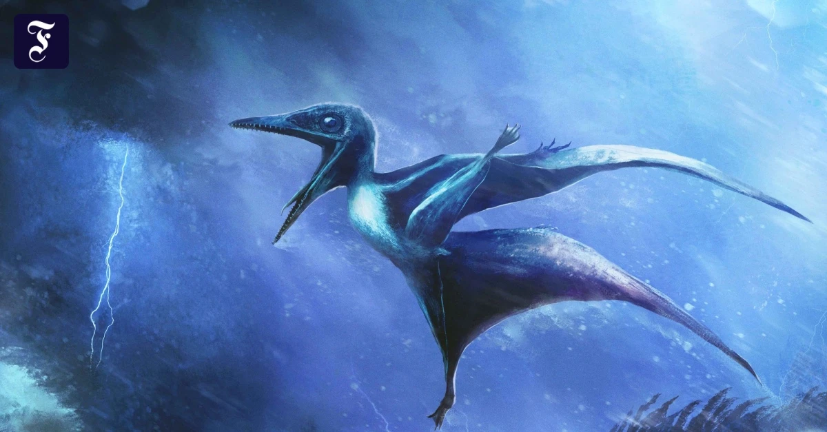 Paläontologie: Warum junge Flugsaurier sterben mussten