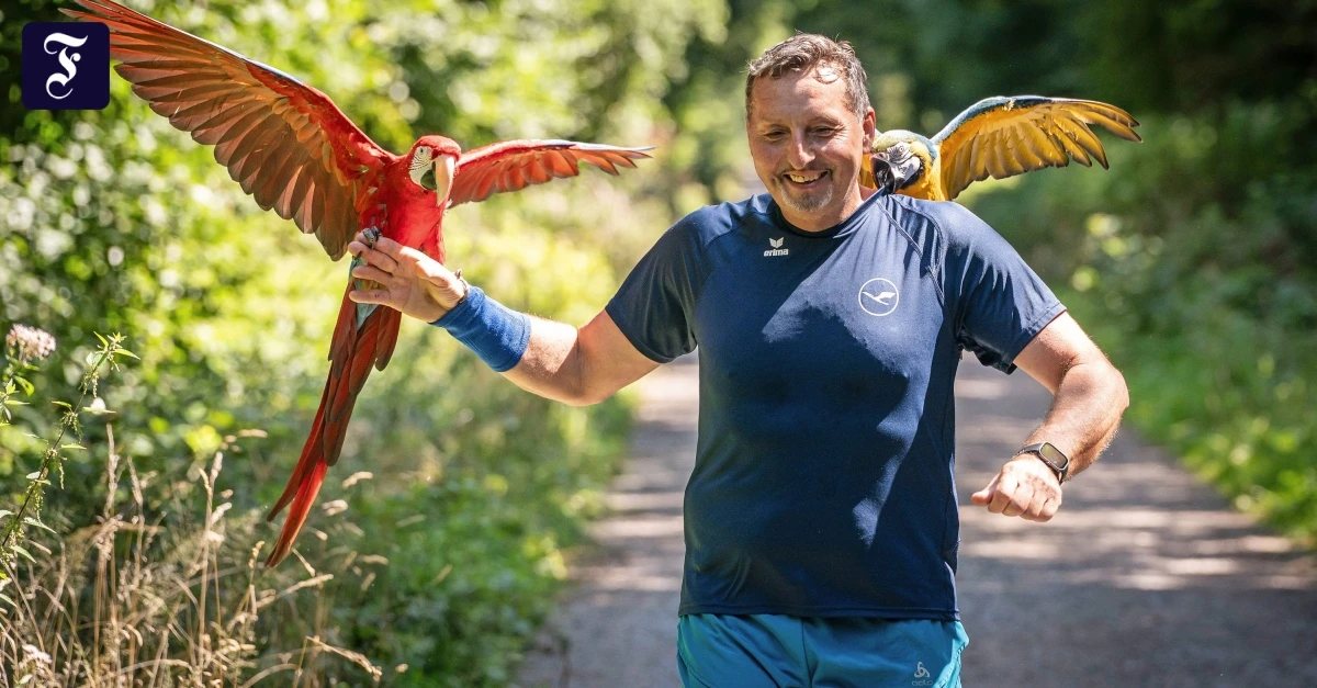 Marathon mit Ara: Der Läufer mit dem Vogel