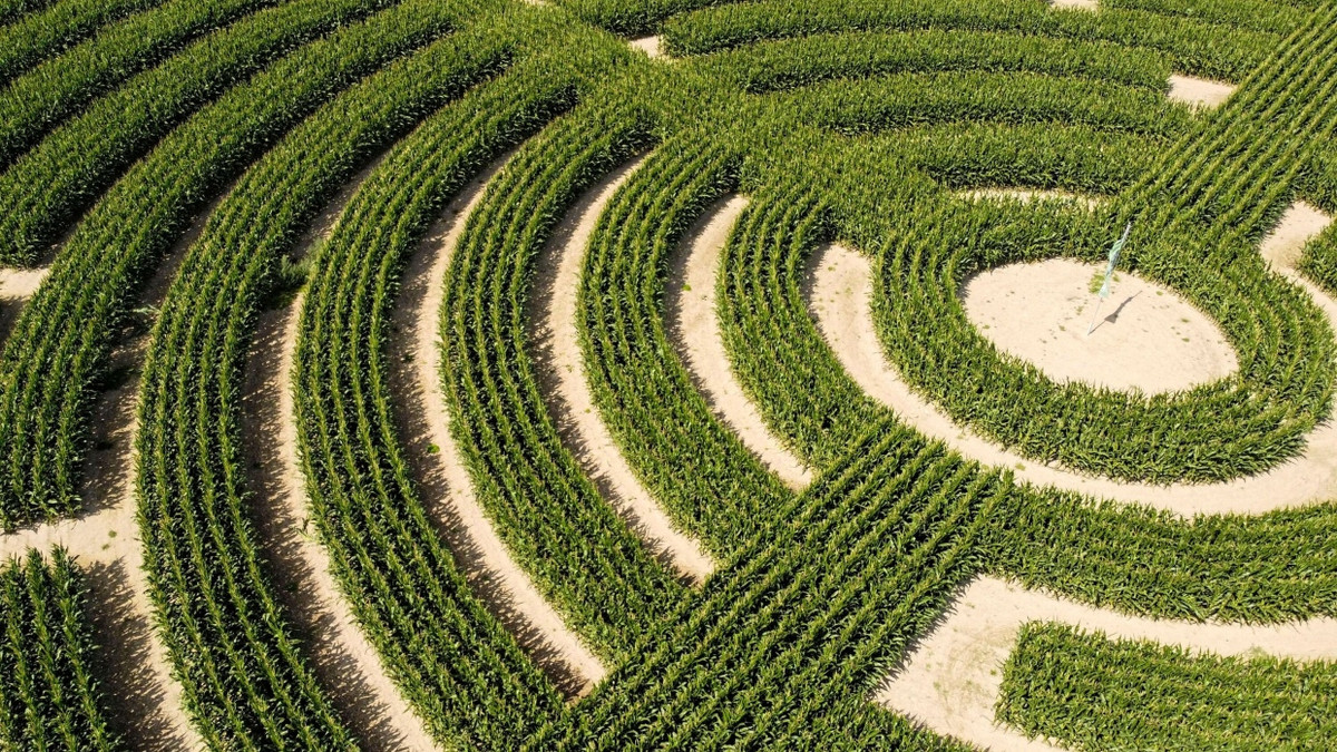 Jugendbuch von Jenny Valentine: So ungeheuer wertvoll ist es, das bloße Sein!