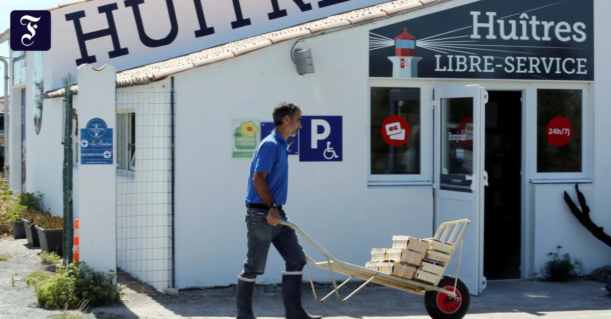 Phänomenologie: Austern aus dem Automaten
