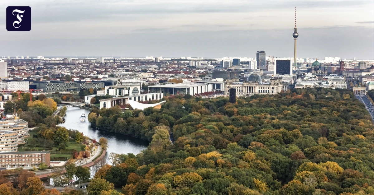 Berliner Baumgesetz: Big Beautiful Baum Bill