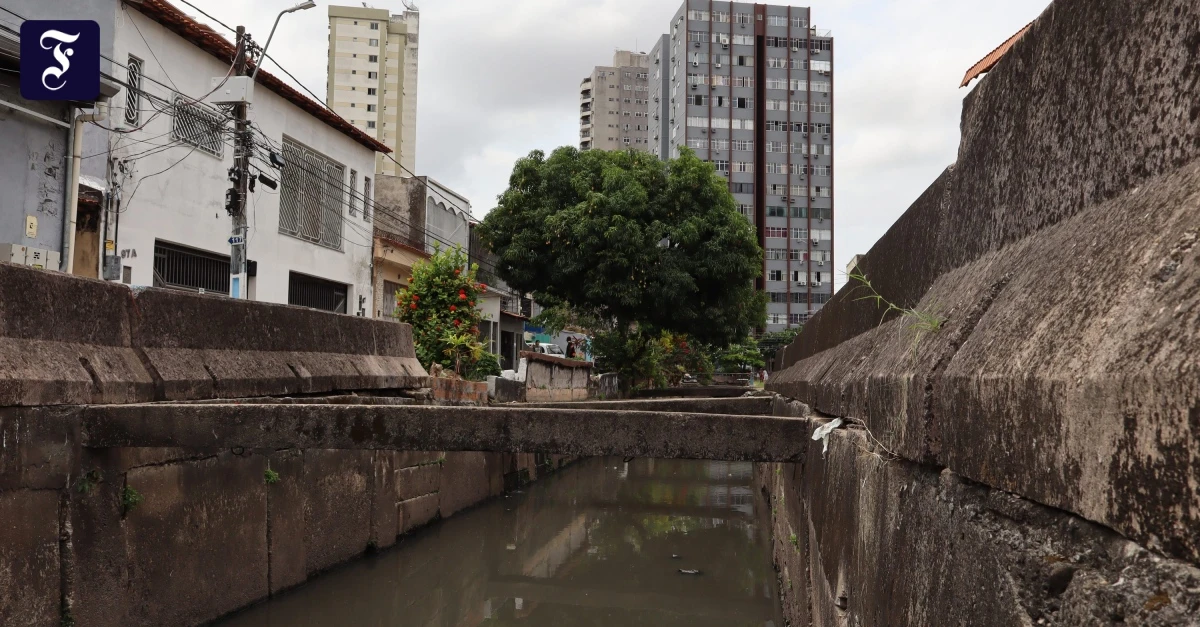 UN-Gipfelstadt-Bel-m-Hitze-Dreck-und-eine-tiefe-Sehnsucht-nach-B-umen
