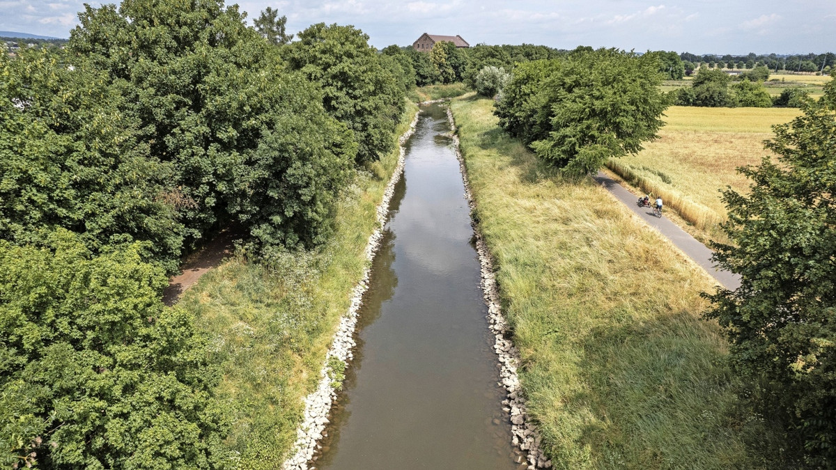 Nidda-Renaturierung: Bastelarbeiten am Flussufer