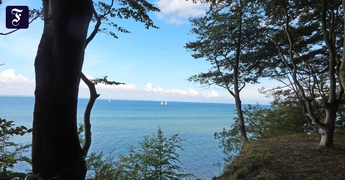 K-stenwanderung-Ein-Sommer-wie-ein-Winter-an-der-Ostsee
