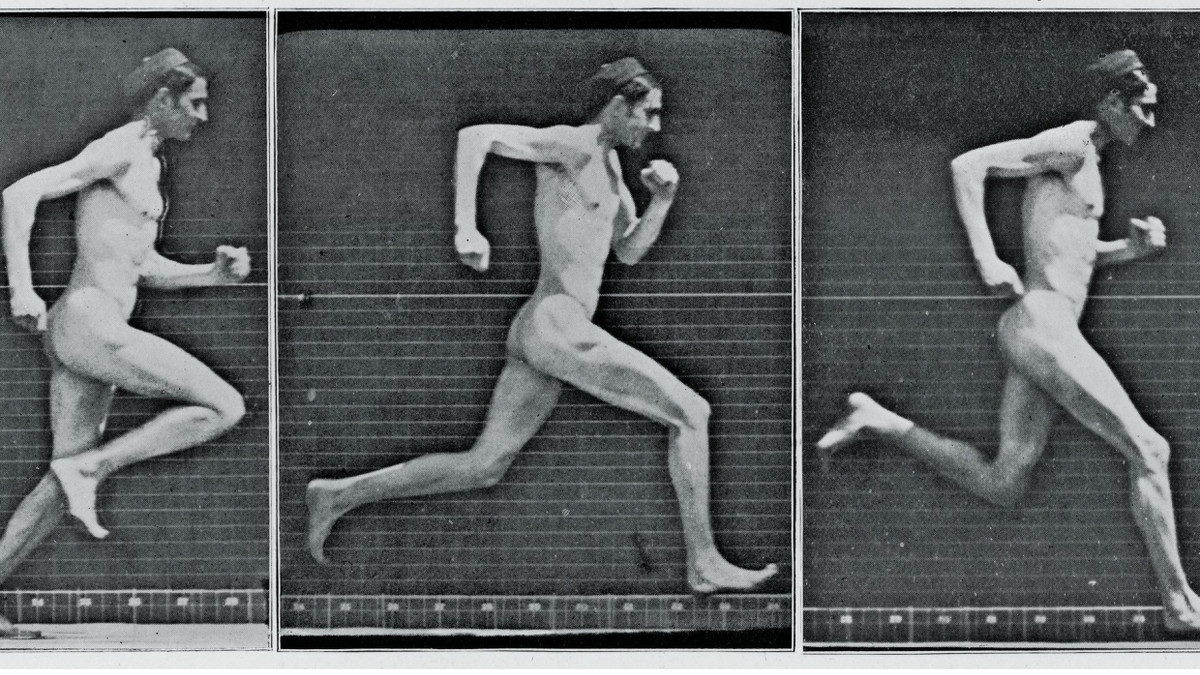 Als Sprinter wären unsere Vorfahren in der Savanne nicht weit gekommen, doch als Dauerläufer verbuchten sie Vorteile: Tafel aus Eadweard Muybridges Fotostudien - Interfoto