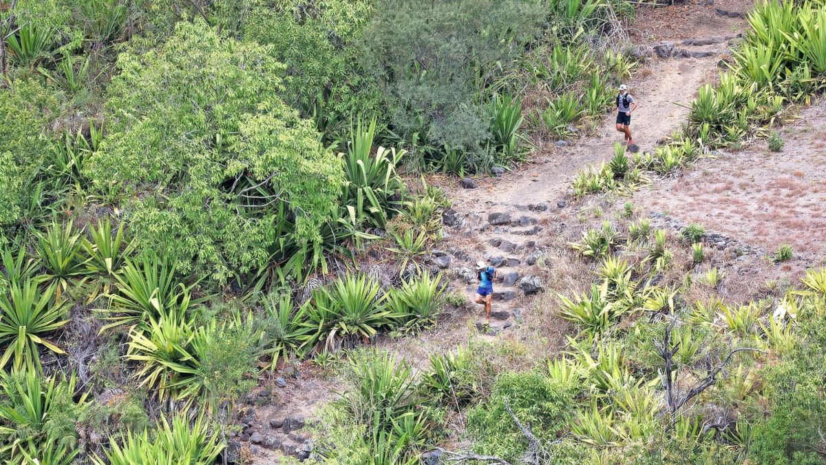 Eine Kultur, bei der Natur, Wege und Tiere respektiert werden: Der Grand Raid auf La Réunion ist ein Ultramarathon, der aber durch die Bergwelt führt. - IMAZ PRESS REUNION