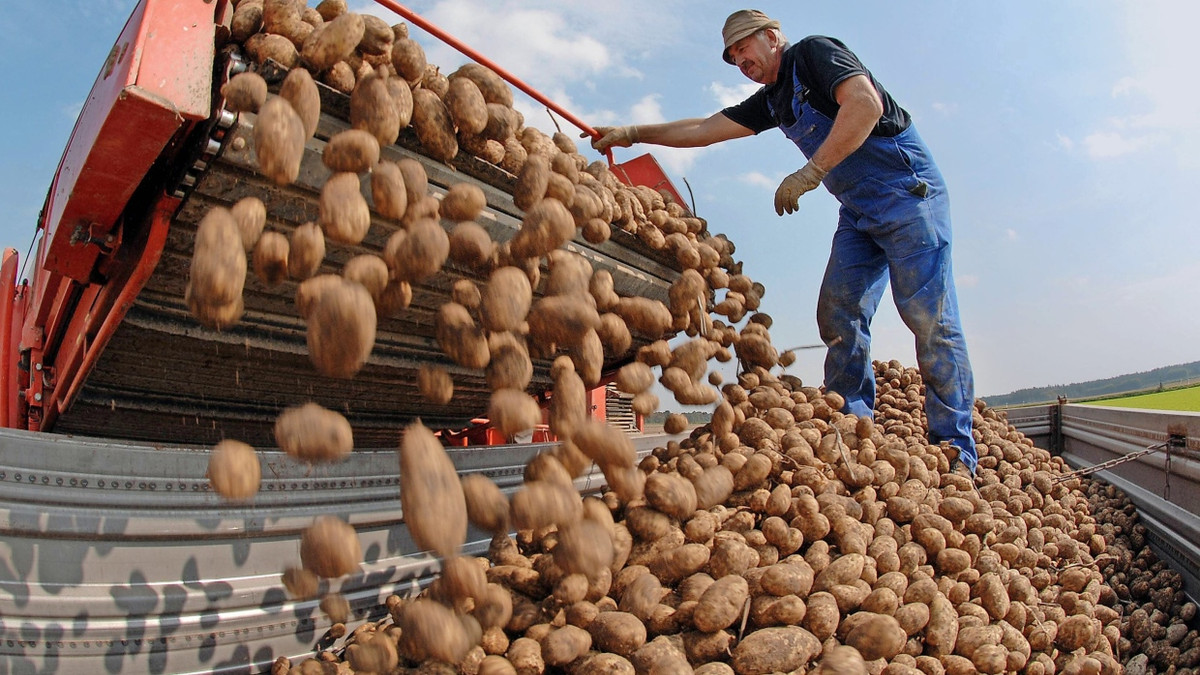 Zurück zur Landwirtschaft: Die Baywa will sich gesundschrumpfen