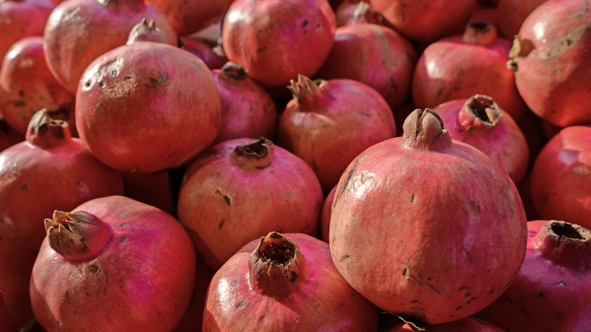 Klinische Studie: Substanz aus Granatapfel stärkt Immunsystem