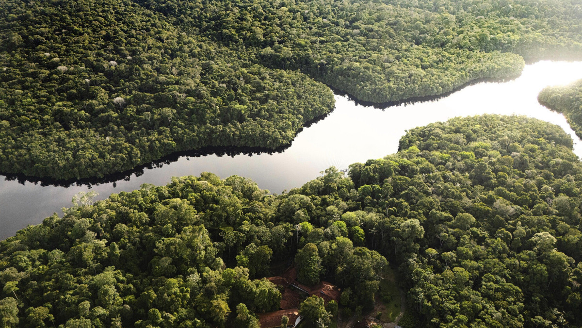 Klimakonferenz in Brasilien: Der neue Realismus in der deutschen Klimapolitik
