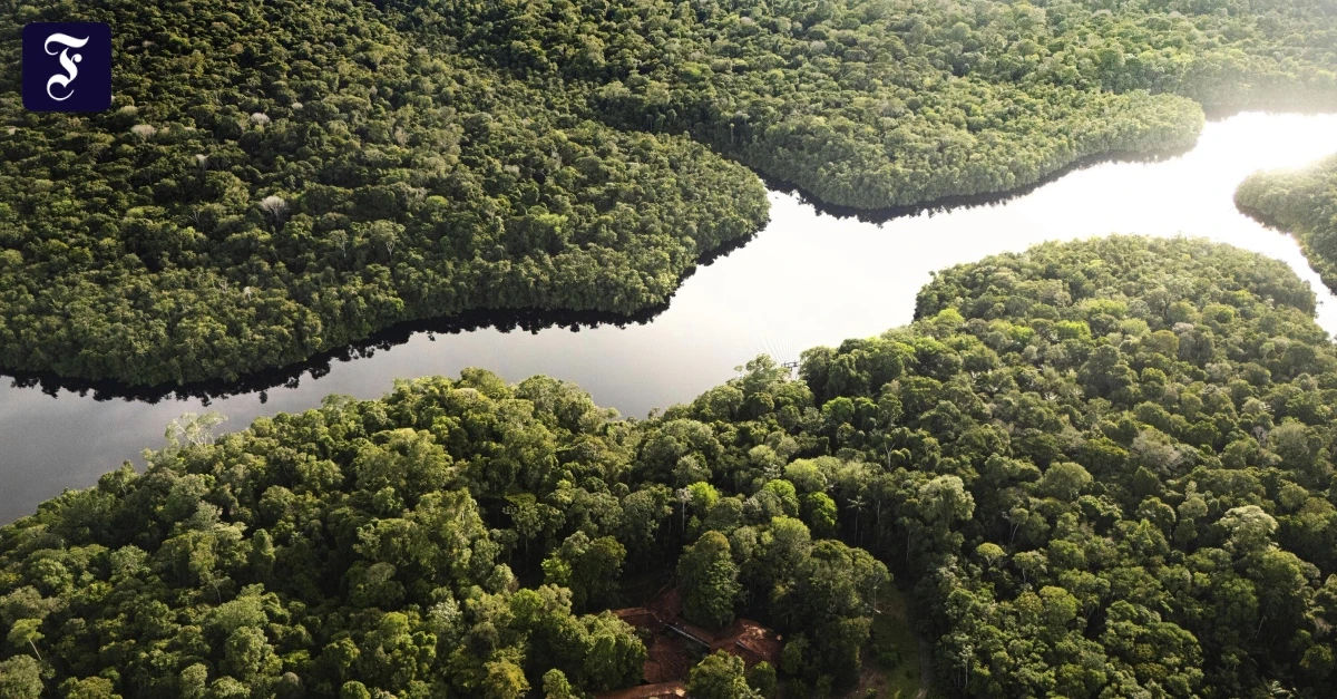 Warum Klimaschutz im nationalen Interesse sein kann