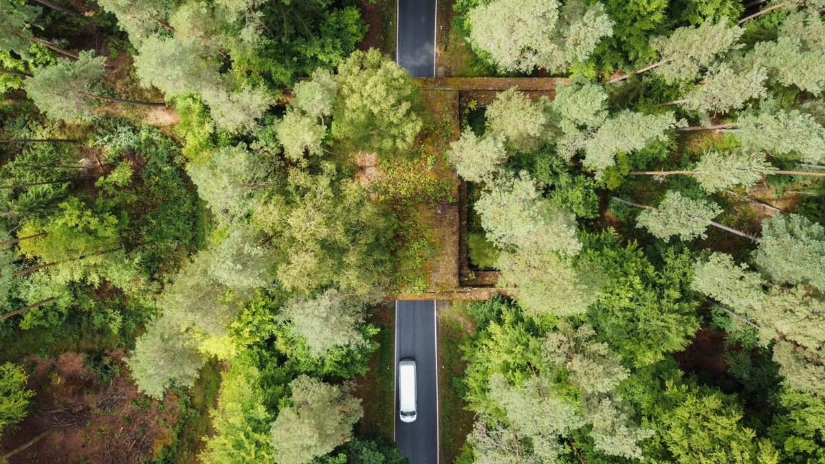 Ruine in der Rhön: An der Baustelle arbeiteten einige Tausend Arbeiter. - Lucas Bäuml