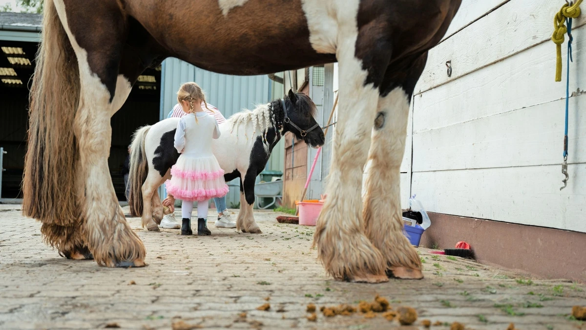 Aktionswoche im Reitsport: Stallluft schnuppern gegen die Entfremdung vom Pferd